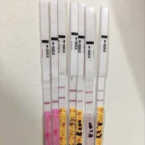 journal_insert_pic_704102215
