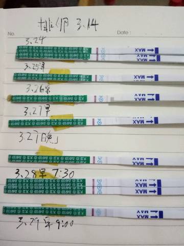 journal_insert_pic_704478886