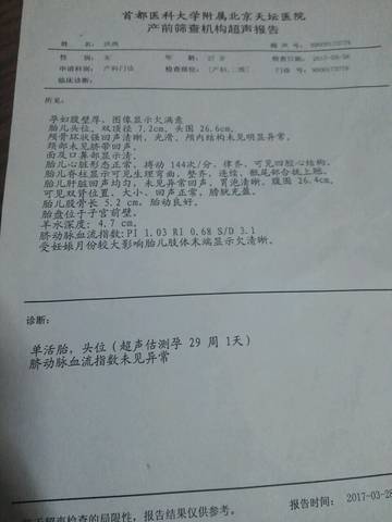 journal_insert_pic_704404819