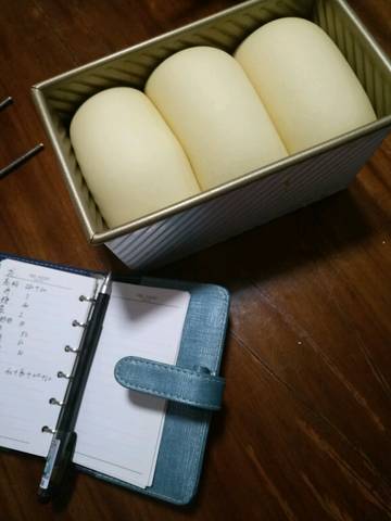 journal_insert_pic_705027683