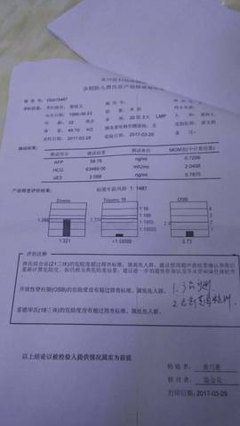 journal_insert_pic_704822573