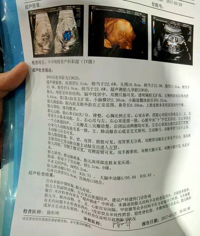 journal_insert_pic_705013814