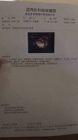 journal_insert_pic_705177667