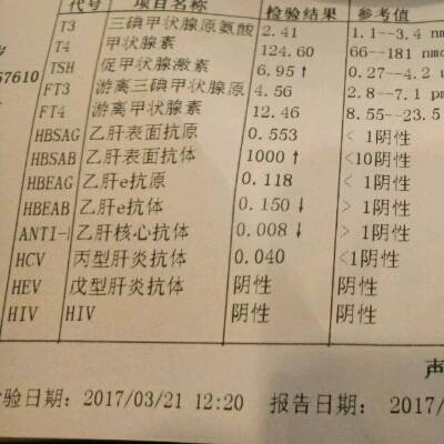 journal_insert_pic_706285185