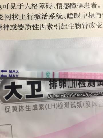 journal_insert_pic_706330915
