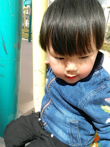 journal_insert_pic_706253459