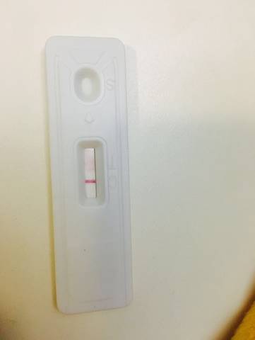 journal_insert_pic_707301626