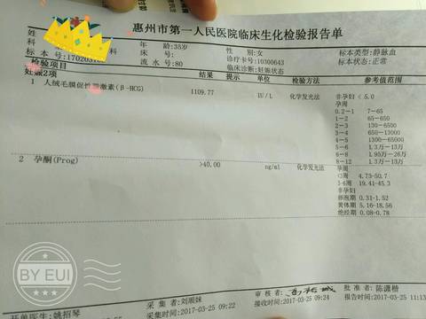 journal_insert_pic_707639024