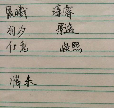 journal_insert_pic_707969292