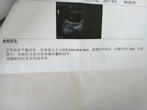 journal_insert_pic_707737941