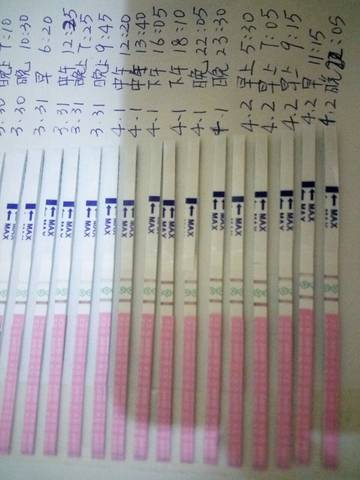 journal_insert_pic_708096125