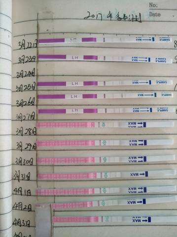 journal_insert_pic_708279893