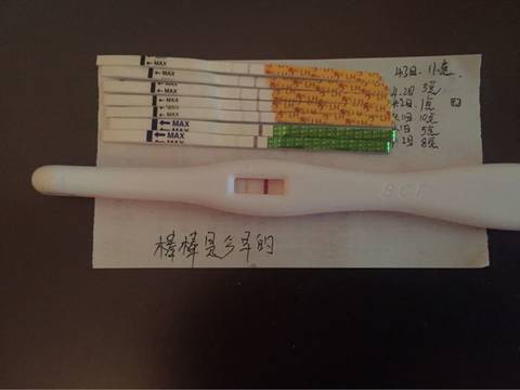 journal_insert_pic_709462925