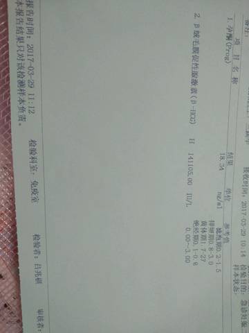journal_insert_pic_709624817