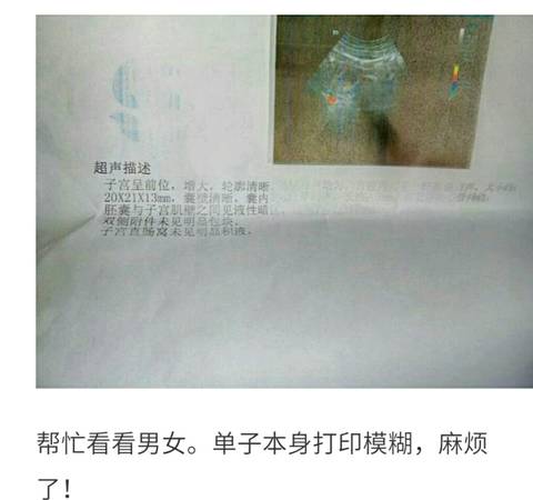 journal_insert_pic_709324804