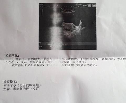 journal_insert_pic_708999081
