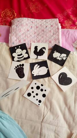 journal_insert_pic_709376694