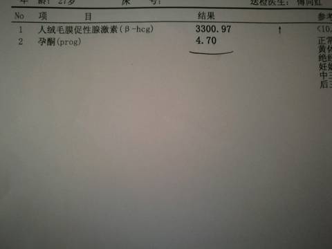 journal_insert_pic_709067779