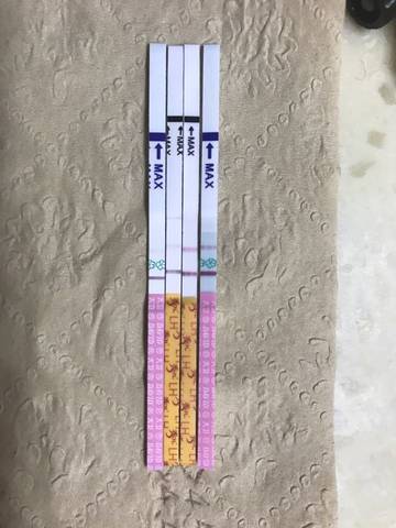 journal_insert_pic_710515950