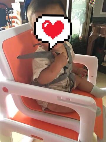 journal_insert_pic_710336910