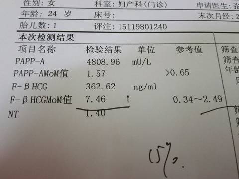 journal_insert_pic_710120931