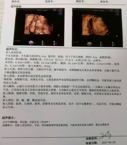 journal_insert_pic_710263458