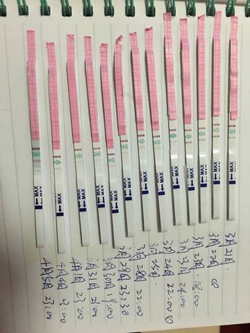 journal_insert_pic_710743919
