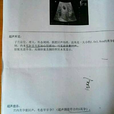 journal_insert_pic_711100314