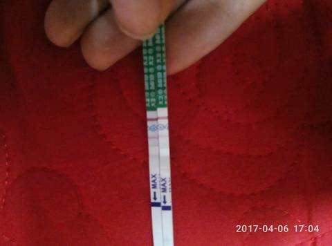 journal_insert_pic_711269053