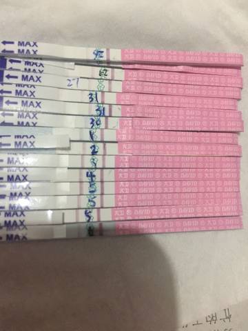 journal_insert_pic_711448075