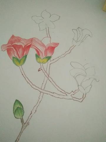 journal_insert_pic_711147369