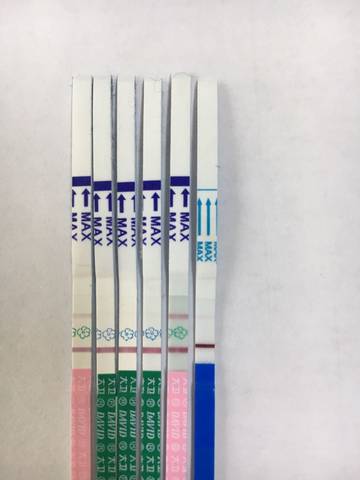 journal_insert_pic_711726303