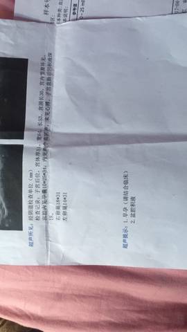 journal_insert_pic_712156976
