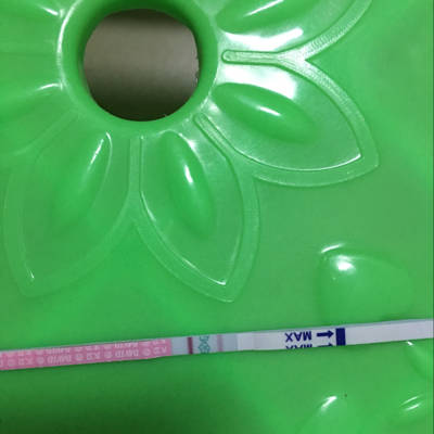 journal_insert_pic_712121503