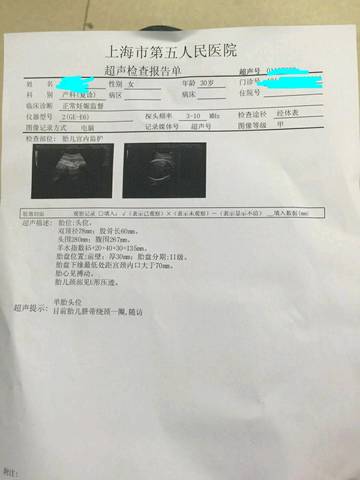 journal_insert_pic_713120467