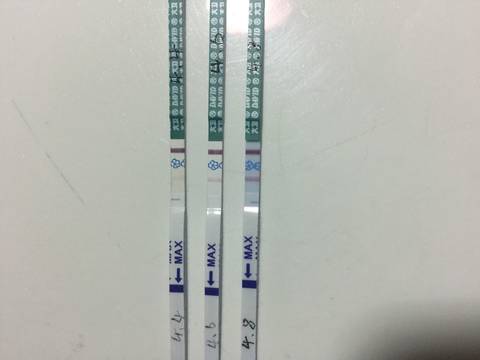 journal_insert_pic_712576712