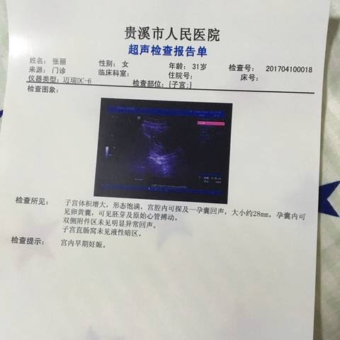 journal_insert_pic_714522086