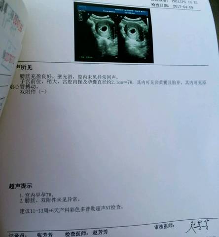 journal_insert_pic_714327912
