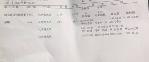 journal_insert_pic_715248537