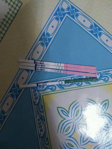 journal_insert_pic_716492385