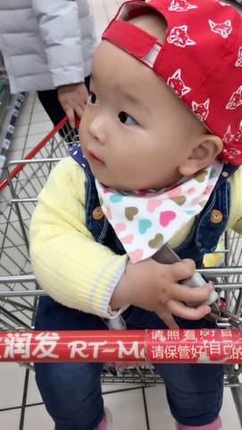 journal_insert_pic_717131187