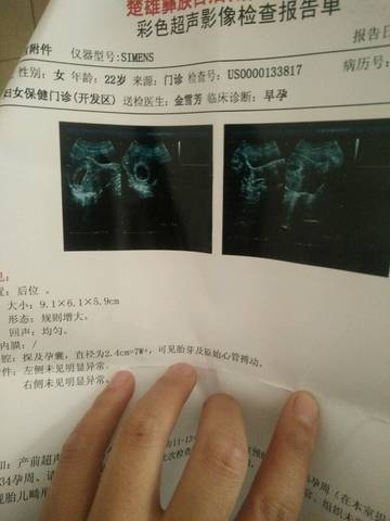 journal_insert_pic_716952353