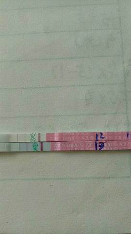 journal_insert_pic_716977856