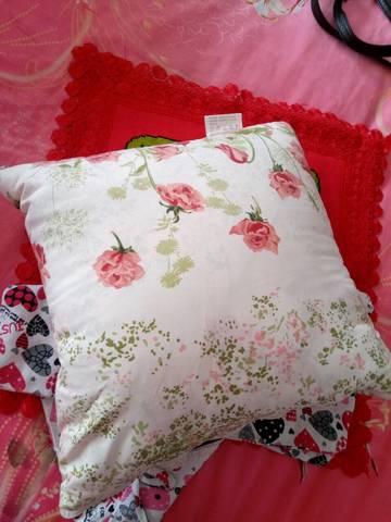 journal_insert_pic_717159321