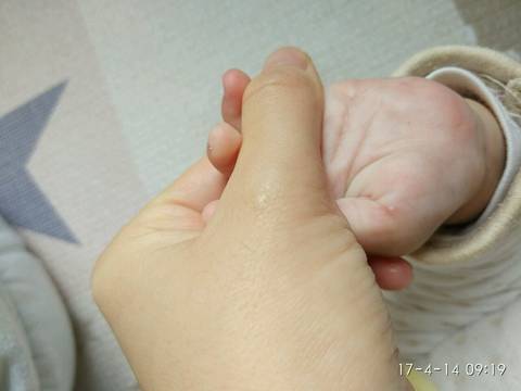 journal_insert_pic_717872810