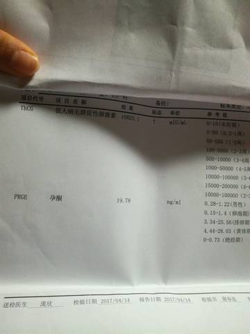 journal_insert_pic_718566583