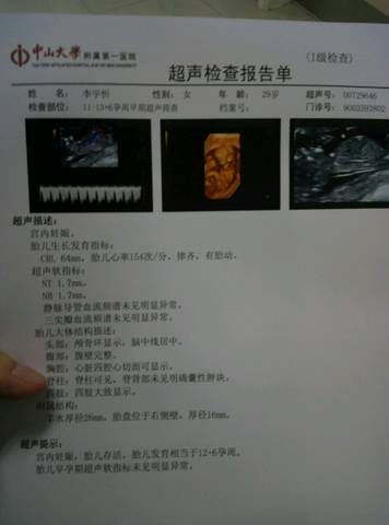 journal_insert_pic_718549188