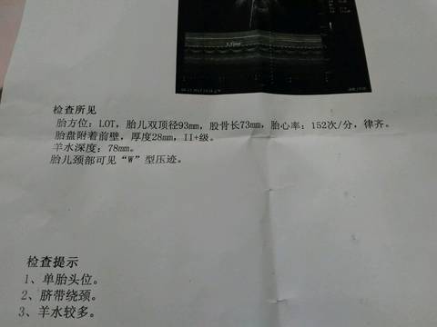 journal_insert_pic_718592329