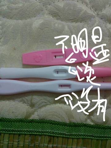 journal_insert_pic_719149885