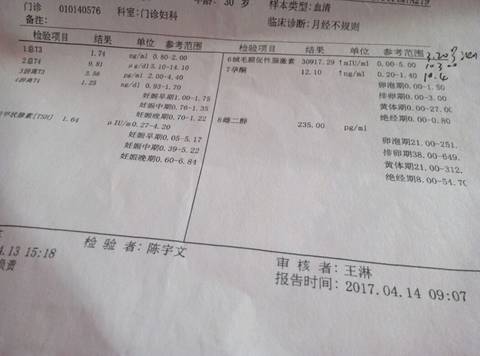 journal_insert_pic_720221295